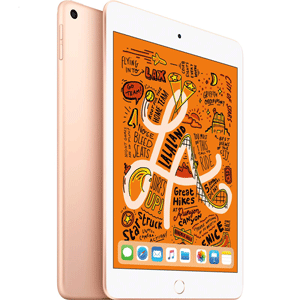 فروش اقساطی تبلت اپل مدل iPad Mini 5 2019 7.9 inch 4G ظرفیت 64 گیگابایت